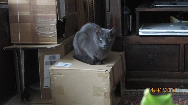 Bild