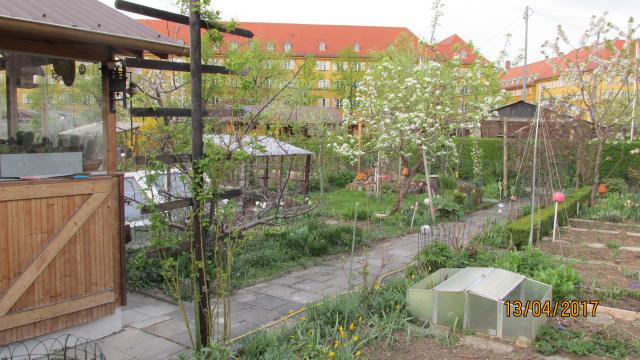 Bild