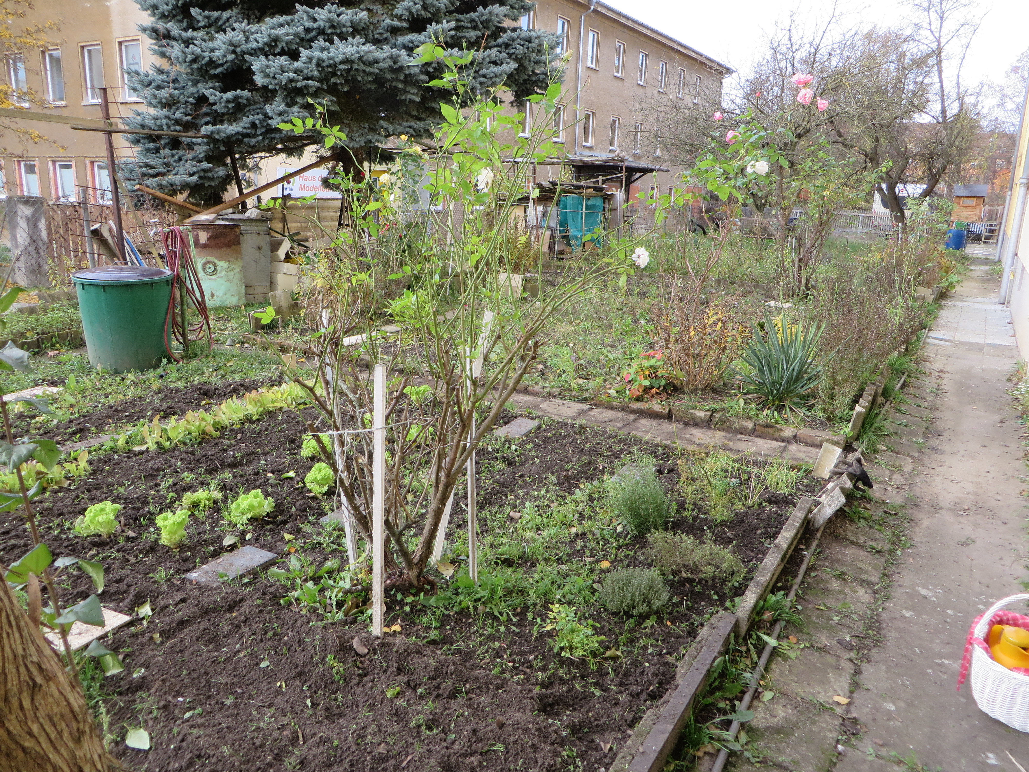 Neuer Garten im November Gartenplanung