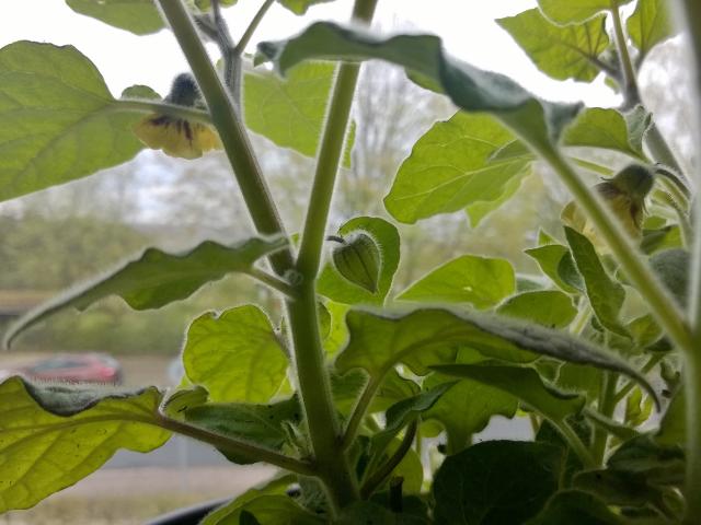 Bild